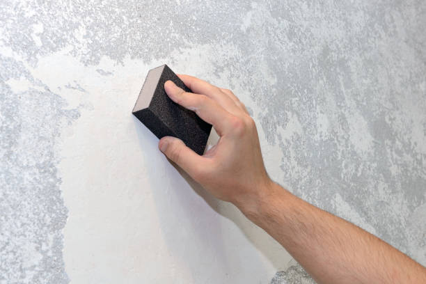 Best Environmental Consulting for Mold Prevention  in Green, OR