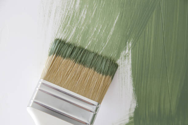 Green, OR Mold Removal Company