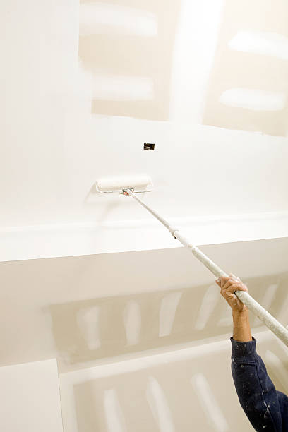 Best Basement Mold Removal  in Green, OR